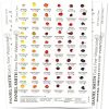 DANIEL SMITH 238 Watercolor Dot Color Chart, 4 Sheets, 1900482, 4 Count (Pack of 1)