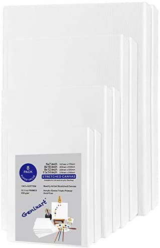 Genixart White Blank Stretched Canvas, Multi Pack of 8, 2 of Each Assorted Sizes