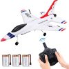 EagleStone RC Airplane 2.4GHz 2 Channel Remote Control Plane with Gyro and 3