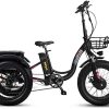 Addmotor Motan 3 Wheel Electric Bicycle, Ebike 750W 48V 17.5Ah Removable Battery,