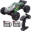 Blomiky 52KMH+ High Speed 2845 Brushless 1/16 Scale RC Truck for Kids and Adults Q903