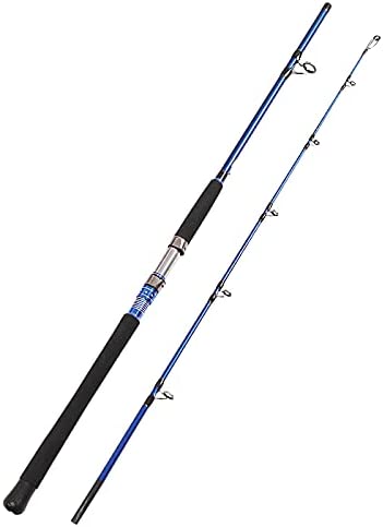 Fiblink 2-Piece Saltwater Spinning Fishing Rod Offshore Graphite Portable Fishing Rod