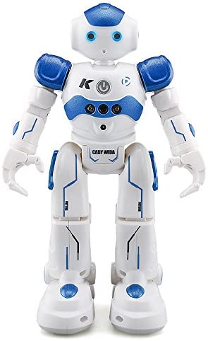 Goolsky CADY WIDA Intelligent Programming Gesture Control Robot RC Toy Gift for