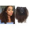 Lacer Ombre Remy Clip in Human Hair Extensions Afro Kinky Curly Clip 4B 4C Real Remy