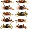 MOTZU Set of 10 Artificial Crab Baits, 3D Simulation Crab Soft Lures with Sharp