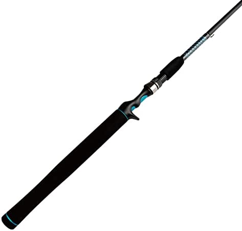 Master Logic Spinning Rods & Casting Fishing Rod,Smooth Stainless Steel
