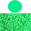 NA 1000pcs/lot Green Glow Fishing Beads Eggs Plastic Luminous Oval Egg Bead Tool Jigs