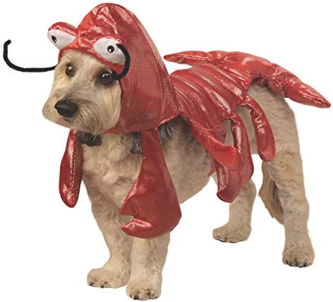 Rubie's Mr. Claws Lobster Pet Costume, Medium