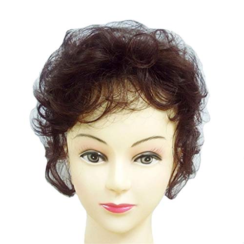 Yanamy Curly Synthetic Hair Top Piece Clip in Wiglets for Women with Thinning Hair
