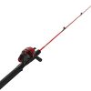 Zebco Dock Demon Spinning Reel or Spincast Reel and Fishing Rod Combo, 30-Inch