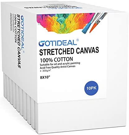 GOTIDEAL Stretched Canvas, 8x10" Inch Set of 10, Primed White - 100% Cotton Artist