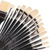 Natural Bristle Professional Paintbrushes Set | 15PCS Long Handled Paint Brushes for