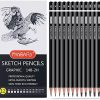 PANDAFLY Professional Drawing Sketching Pencil Set - 12 Pieces Art Drawing Graphite