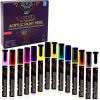 PINTAR Premium Acrylic Paint Pens - (14 Colors) Medium Tip Pens for Rock Painting,