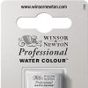 Winsor & Newton Professional Water Colour Paint, Half Pan, Cobalt Green